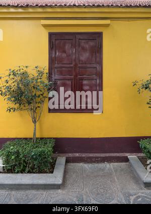 Mur peint en jaune vif avec des volets en bois brun foncé fermés et des plantes en pot à Hanoi, Vietnam Banque D'Images