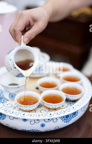 Une main verse un thé oolong ambré d’un pichet en céramique blanche dans de petites tasses en porcelaine à motifs disposées sur un plateau floral bleu et blanc assorti, évoquant l’esthétique des cérémonies du thé traditionnelles chinoises dans un cadre intérieur serein Banque D'Images