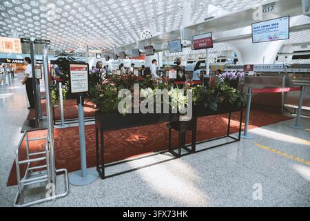 Intérieur moderne d’un terminal d’aéroport à l’aéroport international de Shanghai Pudong avec des comptoirs d’enregistrement, des panneaux numériques affichant APEC Chine 2026, des bacs à orchidées décoratifs, des tapis rouges à motifs et des passagers faisant la queue sous un auvent de plafond perforé distinctif Banque D'Images