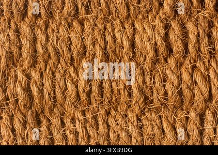 Surface de tapis en fibre de coco tissée brune en cadre complet. Corde en fibre de coco naturelle grossière et motif de tissage en sisal rugueux en gros plan macro. Banque D'Images