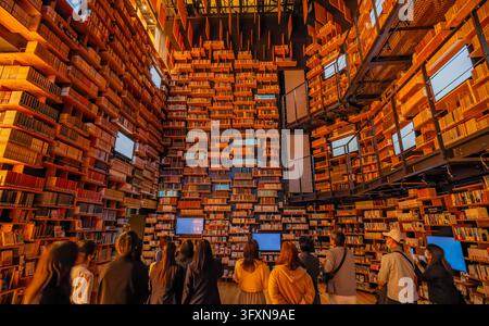 Tokyo, Japon, 22 NOV 2024 - Un groupe de personnes se tient dos à l'appareil, regardant en haut une immense muraille sur plusieurs étages d'étagères en bois Banque D'Images
