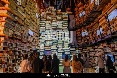 Tokyo, Japon, 22 NOV 2024 - Un groupe de personnes se tient dos à l'appareil, regardant en haut une immense muraille sur plusieurs étages d'étagères en bois Banque D'Images