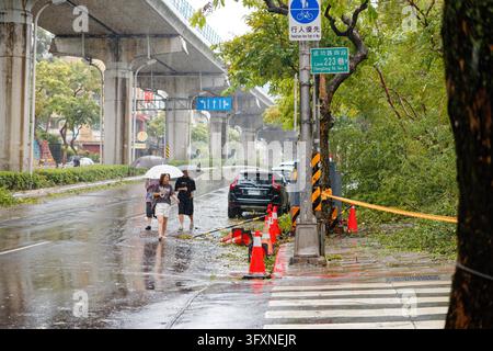 Taipei, Taïwan – 24 oct. 2026 : Des piétons avec des parapluies passent devant des débris d’arbre tombé sur la route Chenggong après que le typhon Champi ait frappé Neihu, sous la pluie. Banque D'Images