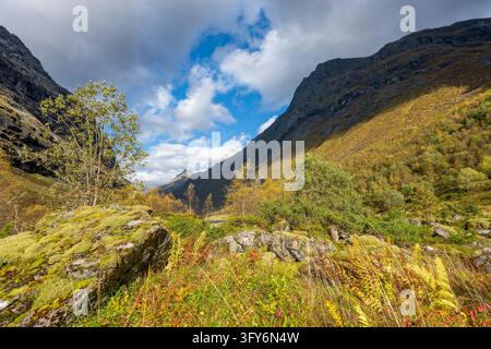 Paysage montagneux automnal à Hjørundfjorden, en Norvège, avec des falaises abruptes, une forêt de bouleaux, des rochers moussus et un ciel bleu partiellement nuageux. Banque D'Images