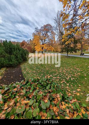 Vue panoramique d'un parc urbain à Mariánské Lázně, République tchèque, recouvert de feuilles dorées tombées, d'érables jaunes et d'une végétation luxuriante en automne. Banque D'Images