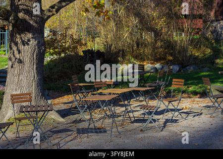 Une terrasse extérieure accueillante avec des tables et des chaises pliantes en bois disposées sur une cour de gravier recouverte de feuilles tombées, avec un bois rouge rustique Banque D'Images
