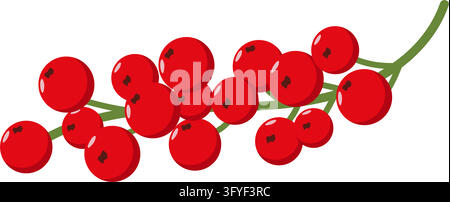 Grappille rouge vif avec des fruits ronds et brillants sur des tiges vertes, design stylisé épuré parfait pour les graphismes botaniques, les emballages, la décoration Illustration de Vecteur