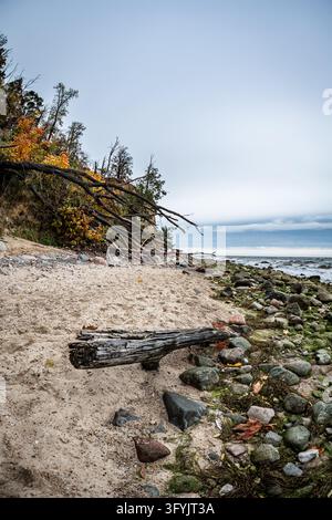 Une scène côtière tranquille à Gdynia, Pologne, avec une plage de sable à gauche, se fondant dans une côte rocheuse couverte de mousse et d'algues à droite Banque D'Images