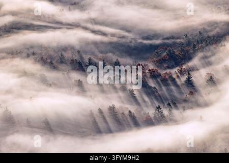 Brouillard matinal et ombres d'arbres sur la forêt d'automne depuis la tour de guet de Fryingpan Mountain, Blue Ridge Parkway, Caroline du Nord, États-Unis Banque D'Images