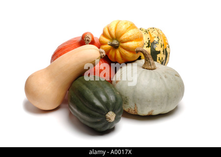 Collection de courges différentes sur fond blanc Banque D'Images