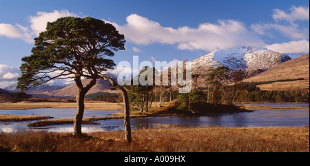 Loch Tulla et Ghabhar Stob près du pont de Orchy, Argyll and Bute, Ecosse, Royaume-Uni. Une vue de la West Highland Way à Stob Ghabh Banque D'Images