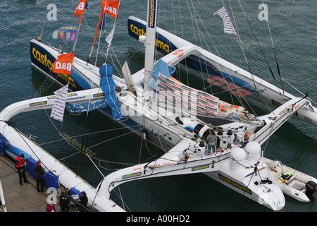 Ellen Macarthur Banque D'Images