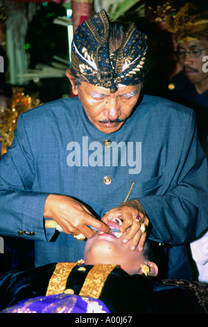 Saint homme dossiers les palefreniers au niveau des dents à sa cérémonie de mariage à Kuta Bali Indonésie Banque D'Images