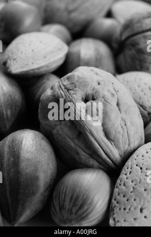 Noël noir et blanc carte de voeux idée populaire dans les écrous de l'hiver saison festive axée sur un noyer à l'avant-plan Banque D'Images