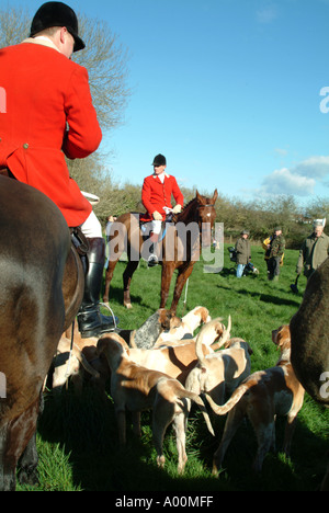 Les partisans de recherche de répondre à Dorchester Dorset deux jours après l'interdiction de chasse est devenue loi en Angleterre UK Fox hunting Banque D'Images