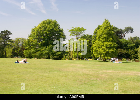 Golders Hill Park Londres Angleterre Banque D'Images