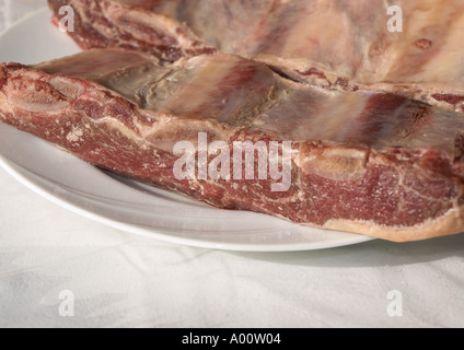 Côtes courtes d'un Bison d'Amérique Banque D'Images