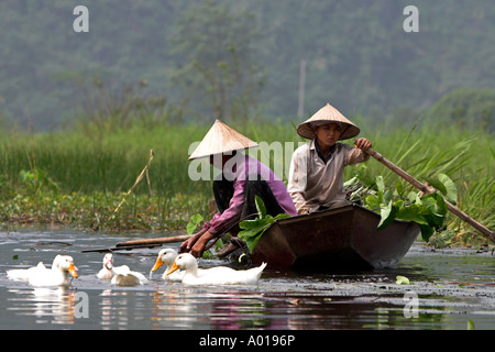 Canards à côté de la collecte de l'eau femmes chapeau conique de nénuphars sur la rivière Yen menant à la Pagode des parfums près de Hanoi Vietnam du Nord Banque D'Images