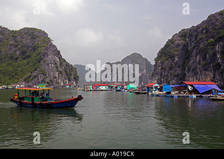 Village de pêcheurs flottant au large de l'île de Cat Ba se dresse au milieu de l'île rocheuse de calcaire karstique est du Vietnam du Nord paysage Banque D'Images