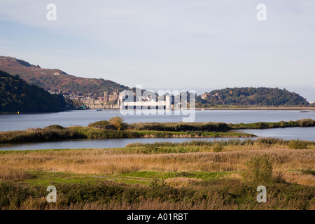 La réserve RSPB Conwy lagunes côtières et d'habitat de prairie à côté de l'estuaire de la rivière Conwy Conwy Llansanffraid North Wales Banque D'Images