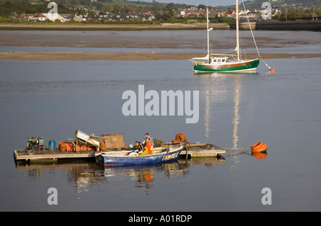 Les pêcheurs de moules sur la plate-forme de capture de déchargement à marée basse sur l'estuaire de la rivière Conwy. Le Nord du Pays de Galles Conwy UK Banque D'Images