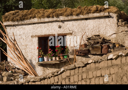 Maison traditionnelle ladakhi avec murs de boue, toit de chaume et pots de fleurs sur le rebord de la fenêtre à Leh, Ladakh, Inde. Banque D'Images