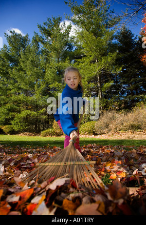 Enfant ramasser des feuilles dans la cour Banque D'Images