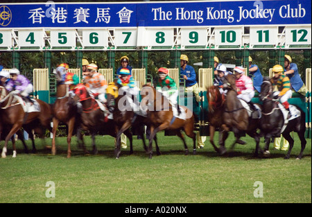 Chevaux et cavaliers pause de cale au début de course à l'hippodrome de Happy Valley à Hong Kong Banque D'Images