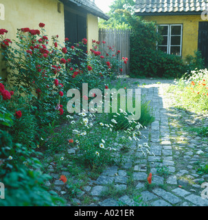Chemin de cailloux à côté de roses rouges de petite maison suédoise jaune dans le pays Banque D'Images