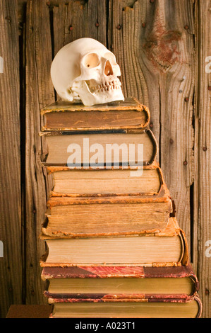 Crâne humain sur l'ancien modèle de pile de livres Banque D'Images