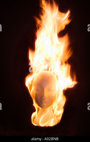 3557 Flaming head Banque D'Images