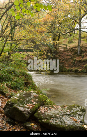 + River Wye oak woodlands automne automne octobre près de Rhayader Powys Pays de Galles Banque D'Images