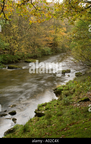 La rivière Wye Oak  + automne automne octobre près de woodlands Rhayader Powys Pays de Galles Banque D'Images