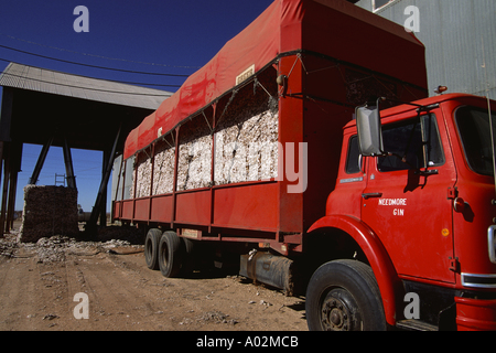 La livraison camion balle de coton à la communauté Co op Gin Coton Texas Needmore Banque D'Images