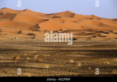 Dunes de sable du désert du Sahara, l'Erg Chebbi, Maroc. Banque D'Images