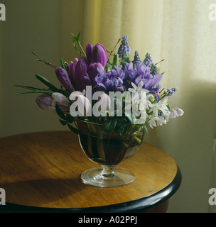 Still-Life de violet et mauve et blanc avec crocus ipheion et bleu-raisin jacinthes en vase verre a pied Banque D'Images