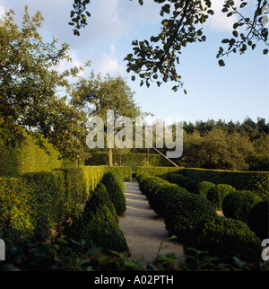 Chemin de gravier entre les haies et arbustes topiaires taillés dans de grands pays jardin formel Banque D'Images