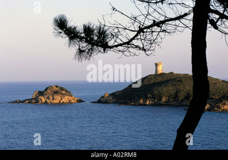 France Corse La Tour Génoise de Fautea sur une île au coucher du soleil Banque D'Images