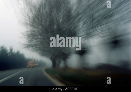 France Provence près de Carpentras arbres flous dans le brouillard d'une voiture roulant Banque D'Images