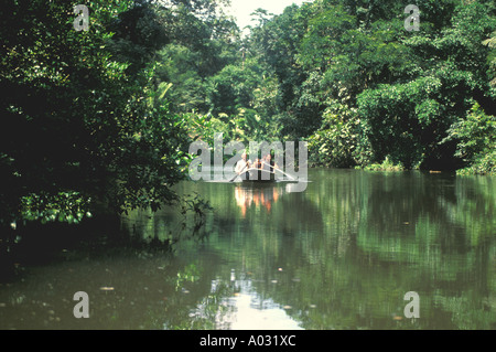 Costa rica tortuguero nature tour bateau sur la rivière de la jungle Banque D'Images