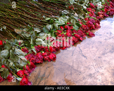Trempé roses rouges pose sur une surface en bronze dans la pluie dans Battery Park à New York. Banque D'Images