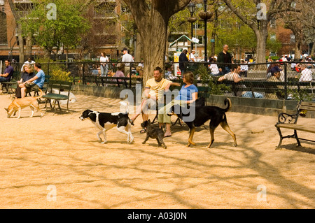 New York New York Dog park de Washington Square à Greenwich Village Banque D'Images