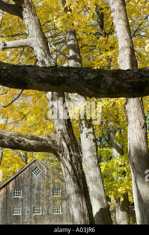 Old Deerfield Village en automne Deerfield Massachusetts Banque D'Images