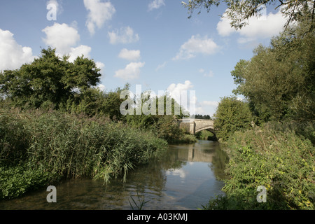 La pittoresque campagne des Cotswolds dans une vallée à côté de la rivière Windrush près de Bourton On The Water sur une journée d'été. Banque D'Images