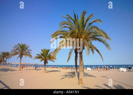 Playa del Postiguet, la Ville d'Alicante, Costa Blanca, Espagne Banque D'Images