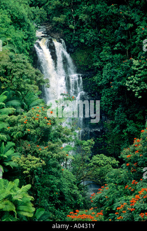 Maui Cascade dans la forêt tropicale dans une mer de verdure Banque D'Images