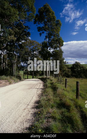 La conduite sur une route de campagne dans les régions rurales de la Nouvelle-Galles du Sud Australie Banque D'Images