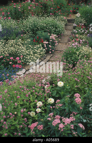 Cottage Garden path en rose et fleurs pastel avec des pavés de béton préfabriqué en pierre pour en faciliter l'accès et les soins Banque D'Images