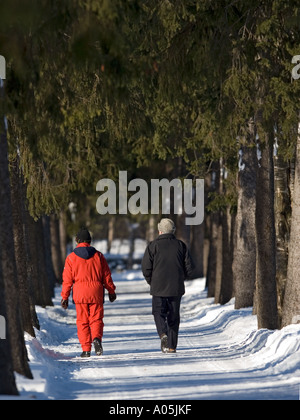 Couple de personnes âgées marchant dans une ruelle d'épinette à L'Hiver , Finlande Banque D'Images