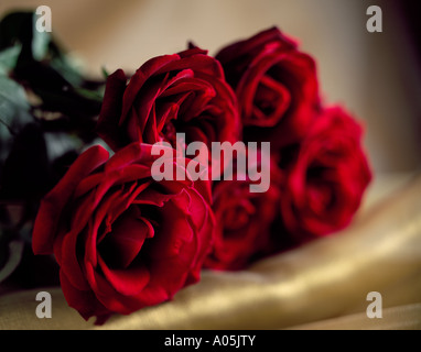 Un bouquet de roses rouges sur certains soie or Banque D'Images